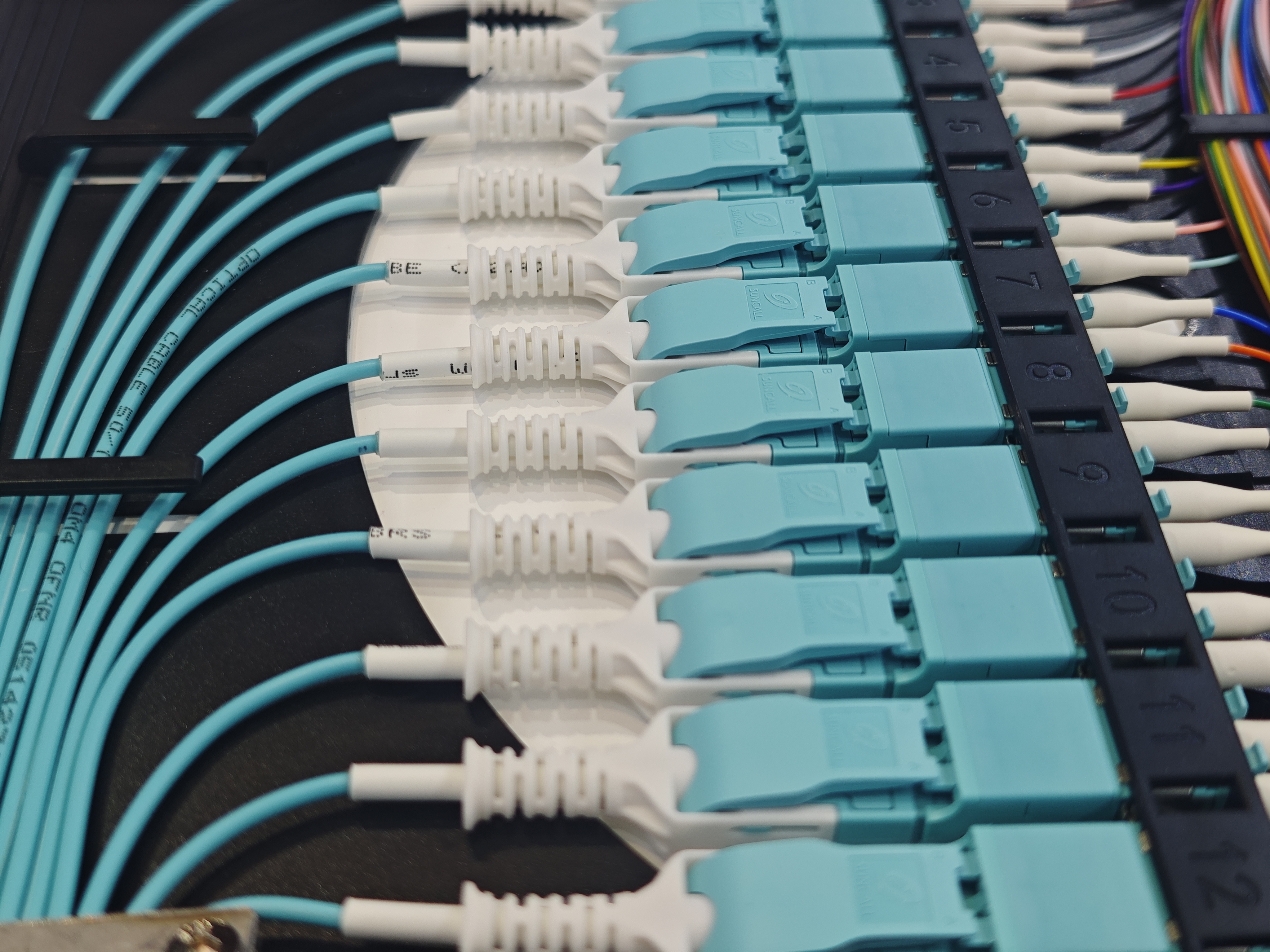 1758779323461716.jpg 1757898918594.jpg